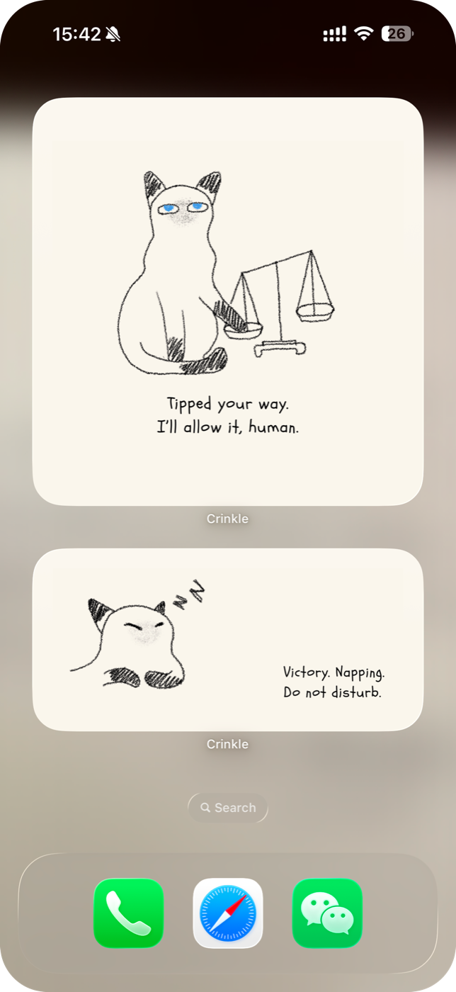 Home screen widgets